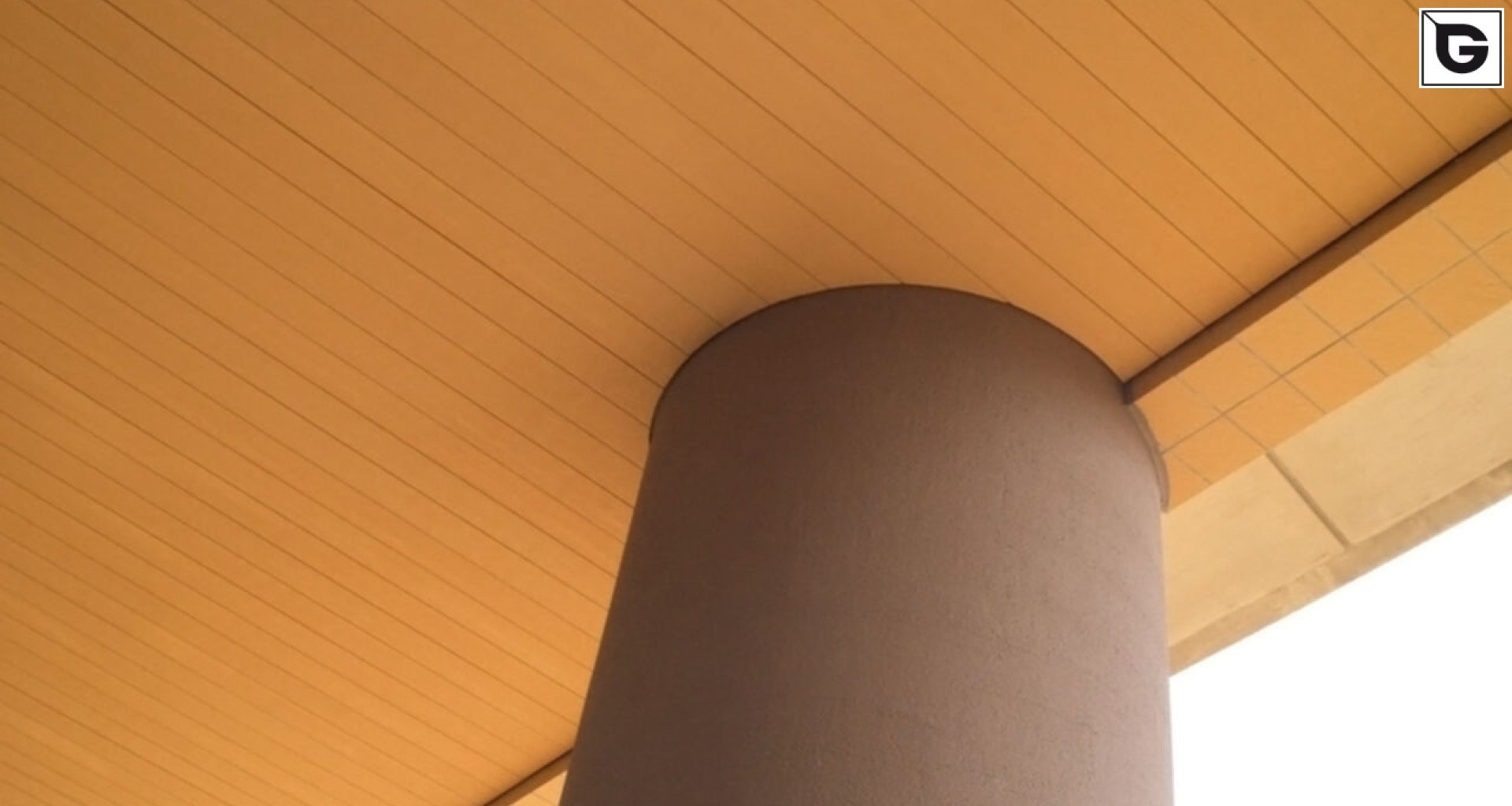 Institutionelle Einrichtungen_Dachuntersicht_Gebogene Profilen