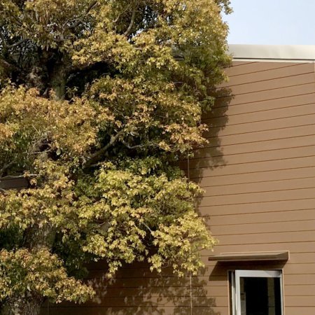 Industrielle Gebäude_Fassadenverkleidung - horizontal_Industriegebäude