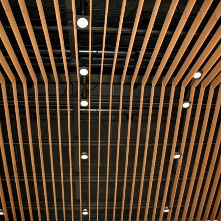 Institutionelle Einrichtungen_Pergola, Dachüberstand, Dach_Krankenhaus, Arztpraxis