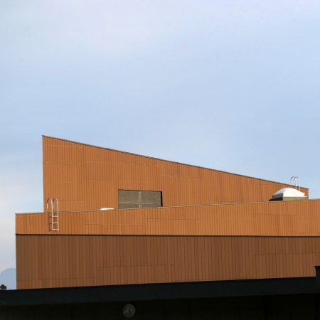 Institutionelle Einrichtungen_Fassadenverkleidung - vertikal_Gebogene Profilen
